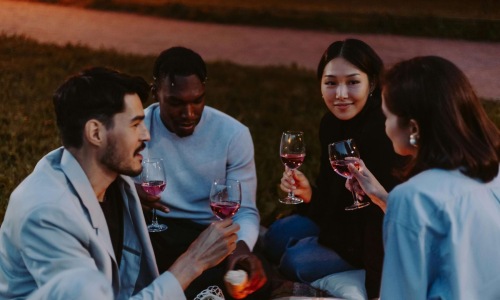 people having wine on a picnic in a park