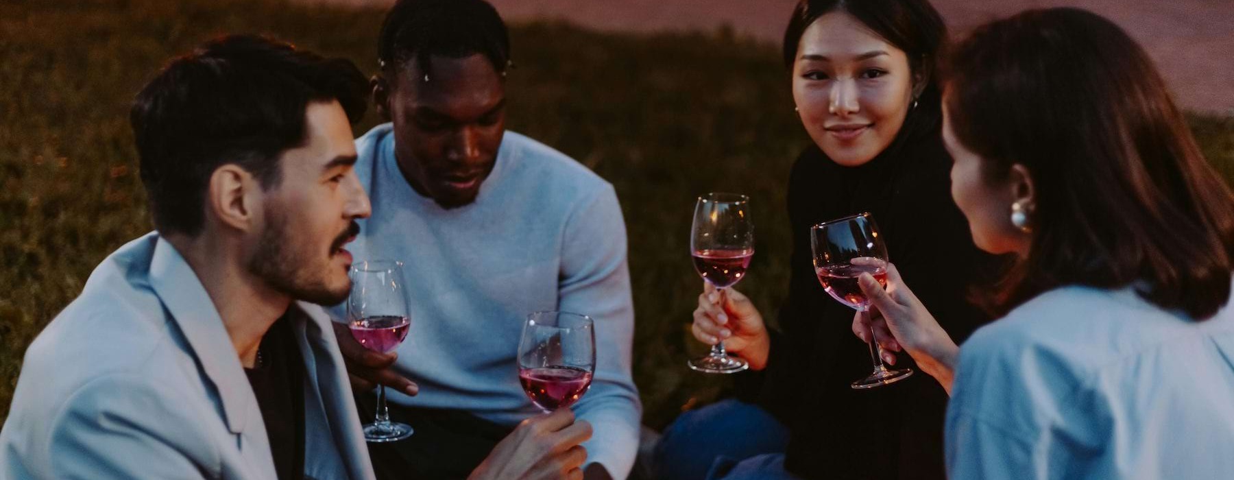 people having wine on a picnic in a park